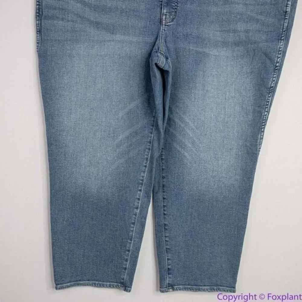 NEW Madewell Plus Stovepipe Jeans in Euclid Wash, 28W‎